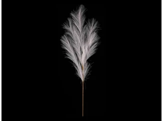 Umělá květina Pampas tráva 77 cm, krémová