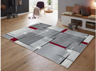 Koberec Thales 160x220 cm, šedo-červený