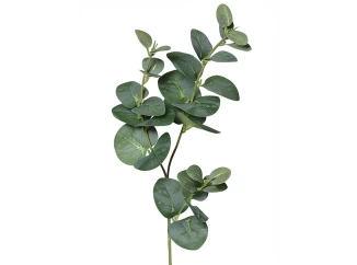 Umělá rostlina Eukalyptus 64 cm, zelená
