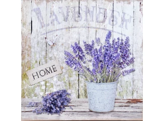 Obraz na plátně Levandule zátiší Home, 40x40 cm