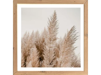 Rámovaný obraz Pampas 35x35 cm, dub artisan