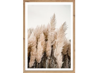 Rámovaný obraz Pampas 50x70 cm, dub artisan