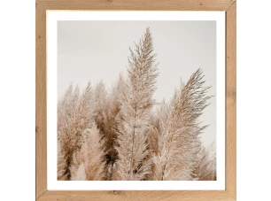Rámovaný obraz Pampas 35x35 cm, dub artisan