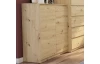 Skříňka Carlos 802D, dub artisan