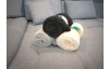 Deka Kuschelteddy 150x200 cm, stříbrná