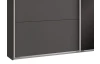 Šatní skříň Easy Plus, 225 cm, grafit/černé sklo