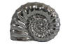 Dekorace ulita 20 cm, stříbrná