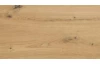 Obývací stěna Bolus, dub artisan, s osvětlením